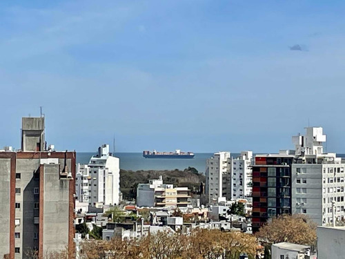 Imagen 5 de 11 de Cavia Y Libertad