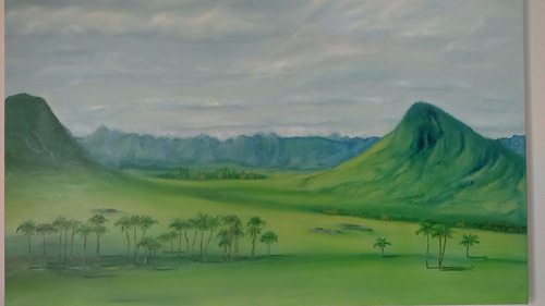 Pintura Em Tela - Jardim De Maytrea - Chapada Dos Veadeiros.