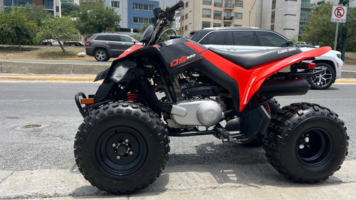Can Am Ds 250 2022