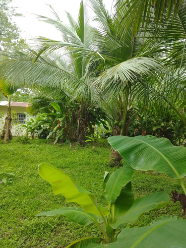 Sarapiqui Horquetas Vendo Propiedad Con Casa
