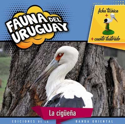 Fauna Del Uruguay: La Cigüeña / Enviamos