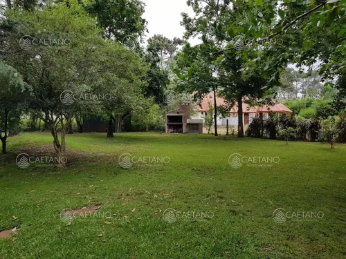 Alquiler De Temporada Punta Del Este - Zona Shopping