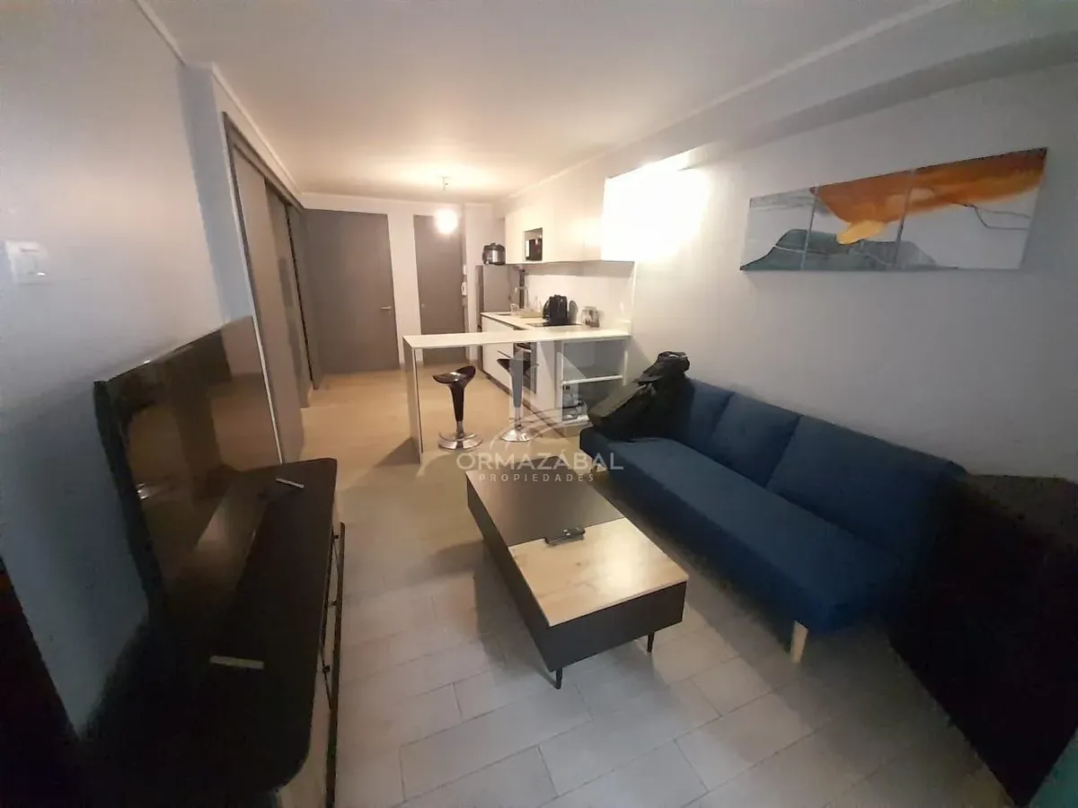 Imagen 2 de 13 de Arriendo Acogedor Y Luminoso Depto. Metro Irarrazaval Ñuñoa