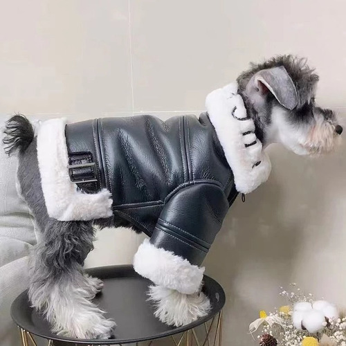 Ropa Para Perros- Chaqueta De Cuero