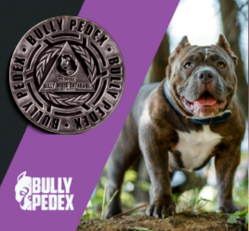 Bullypedex (link Permanente)