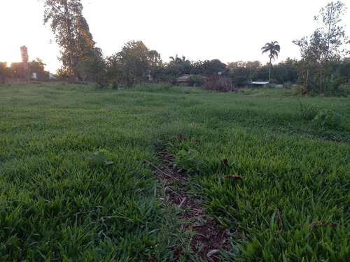 Imagem 8 de 18 de Chácara Com 2 Dormitórios À Venda, 10000 M² Por R$ 660.000,00 - Loteamento Porto Dourado - Foz Do Iguaçu/pr - Ch0017