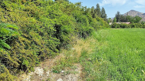 Imagen 5 de 6 de Parcela En Sector Campestre