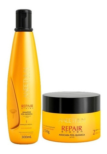 Kit Aneethun Repair System Pós Química Sh300ml E Máscara250g