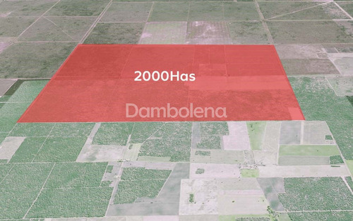 Campo En Venta, La Pampa