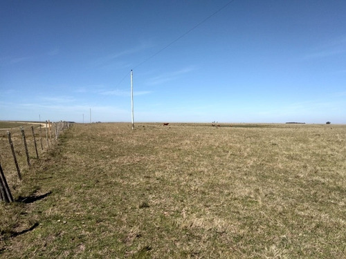 Dueño Vende Campo De 95 Ha En Lavalleja