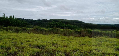 Fazenda À Venda, 65 Alqueires Por R$ 3.000.000 - Sítio Rural - São Sebastião Do Paraíso/mg - Fa0012