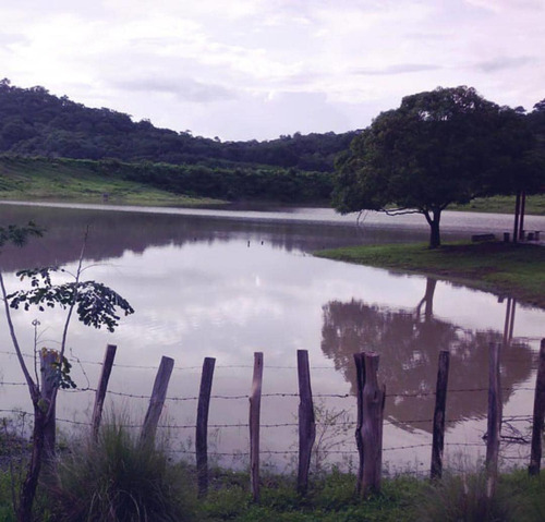 Imagen 5 de 9 de Excelente Finca Agroturistica