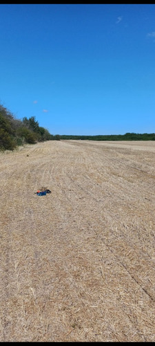 Campo 27 Hectareas Rosario Del Tala Soja Trigo Sorgo