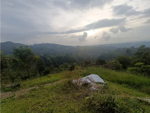 Se Vende Finca En Salento - Quindío