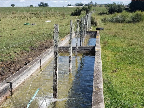 Imagen 11 de 15 de Campo Ganadero En San Jose De 126 Ha, Sierra De Mahoma, Ganadero