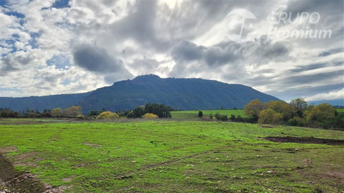 Agrícola En Venta En San Clemente