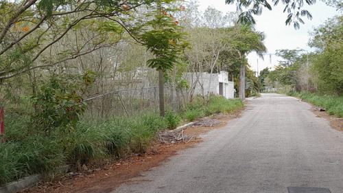 Terreno De 968 M2 En Santa Gertrudis Copo, Mérida.