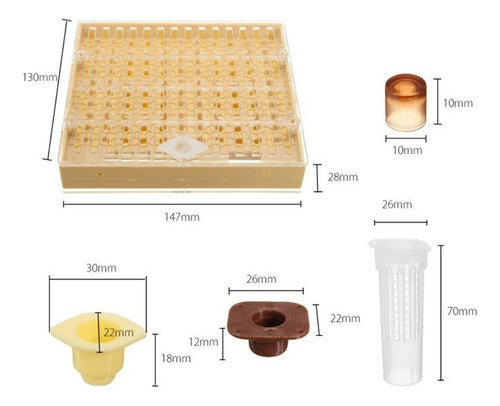 . Kit Material Apícola Caja Jaula De Abeja Reina C