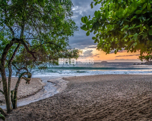 Imagem 28 de 29 de Pé Na Areia - Marfelix - 33274870