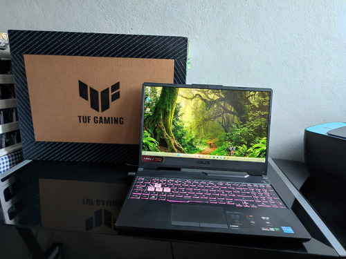 Laptop Gamer Asus Tuf F15 Core I5 11 Generación 512gb Ssd 8g (Usado)