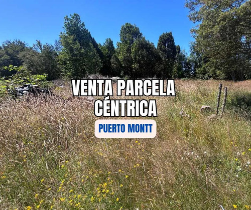 Parcela 5.000m2 Empalme De Agua Puerto Montt (142427)