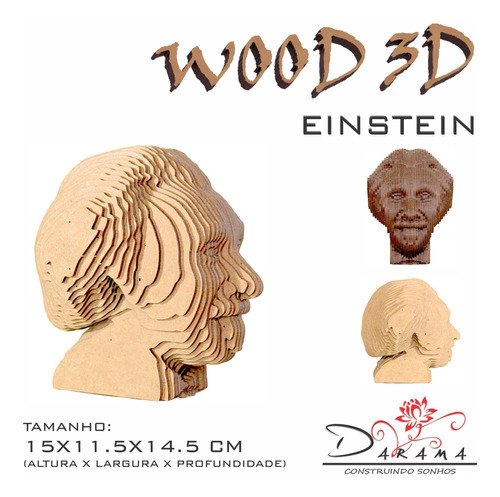 Quebra Cabeças 3d Einstein Decoração Ornamento Enfeite