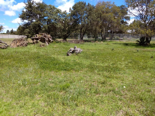 Imagen 8 de 14 de Venta Terreno Urbanizado Apizaco Calpulalpan Y Tlaxcala Cerc