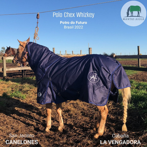 Manta Capa Caballo Importada (descuento Vta. Directa)