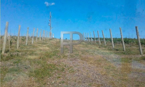 Imagen 2 de 7 de Campo En Venta Pueblo Edén 40 Hectáreas