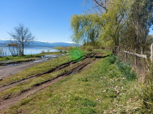 Imagen 10 de 11 de Sitio En Venta En Puyehue