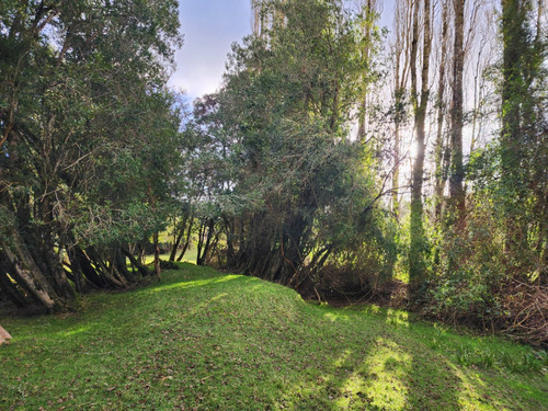 Terreno Orilla Rio Maullin Y Ruta V60 Ideal Pesca Inversion