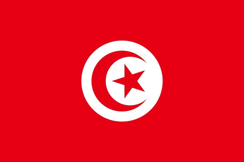 Bandera Tunez Medida Reglamentaria 90cm X 150cm Envio Gratis
