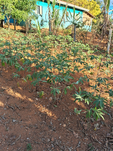 Chácara Ouro Fino Sul De Minas