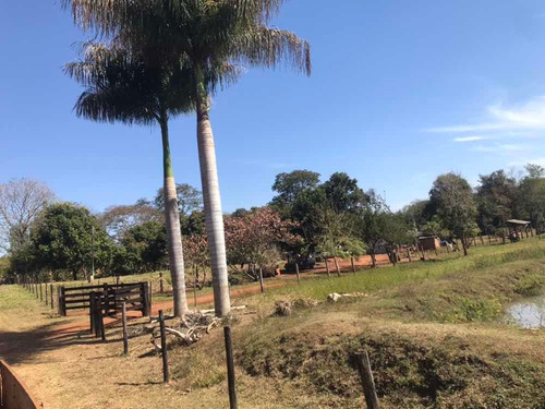 Imagem 5 de 12 de Chácara Pra Lazer Próximo À Campo Grande Ms