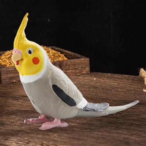 4 Figuras De Aves Exóticas: Decoración Para Tu 4 Piezas