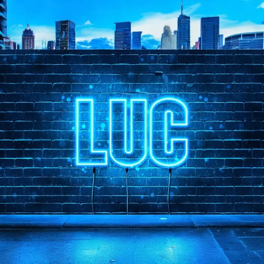 LUC SMARTWEB