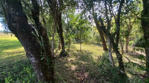 Imagen 7 de 17 de Vendo 4 Lotes Con Arroyo