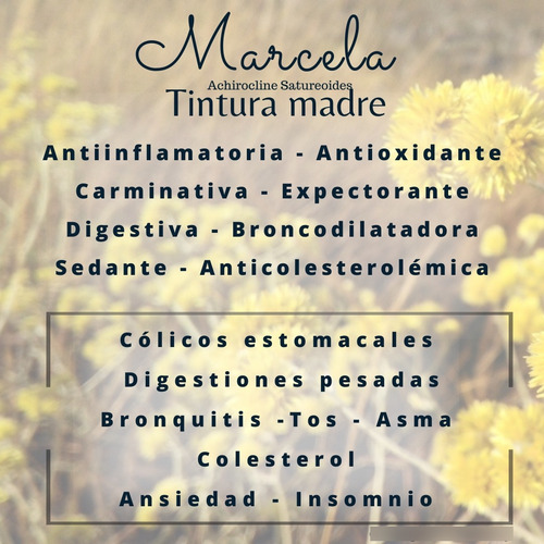 Tintura Madre De Diente De León 30 Ml. Homeopatía