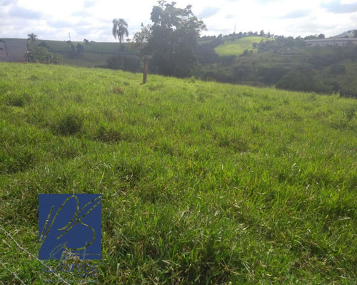 Imagem 13 de 14 de Sitio - St00014 - 32225633