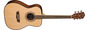 Primera imagen para búsqueda de case guitarra