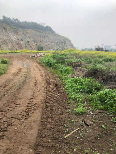Sitio Eriazo. (171116)