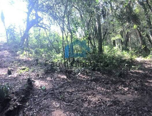 Imagem 11 de 13 de Área 1.300 M2 - Ibiúna - Oportunidade De Ocasião!!! - 192