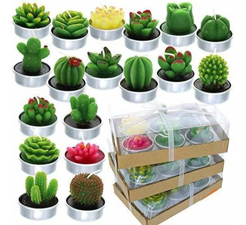 Giftexpress 18 Velas De Cactus Suculentas Que No Se Repiten,