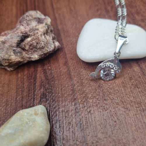 Cadena De Plata Y Dije De Delfín Con Circonia + Color Plateado