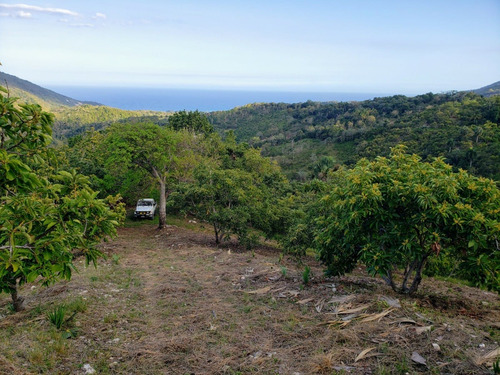 Finca De 400 Tareas De Venta En Barahona 