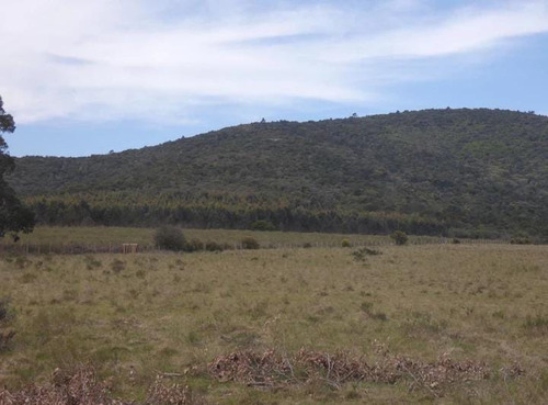 Imagen 2 de 6 de Chacra De 5 Has En Cerros Azules , Maldonado.