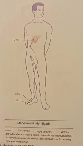Imagen 8 de 9 de Lapiz De Acupuntura Elimina Dolencias!! +estuche+gel Conduct