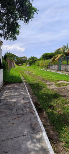 Imagen 8 de 8 de En Venta Terreno En La Urbanización Las Mercedes De Paparo Río Chico