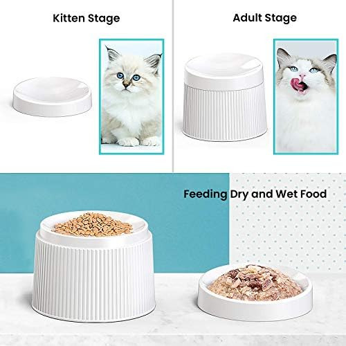 Ipettie Tazón Elevado Para Comida Para Gatos Plato Para Gato