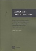 Lecciones Derecho Procesal Proceso Civil Ejecucion